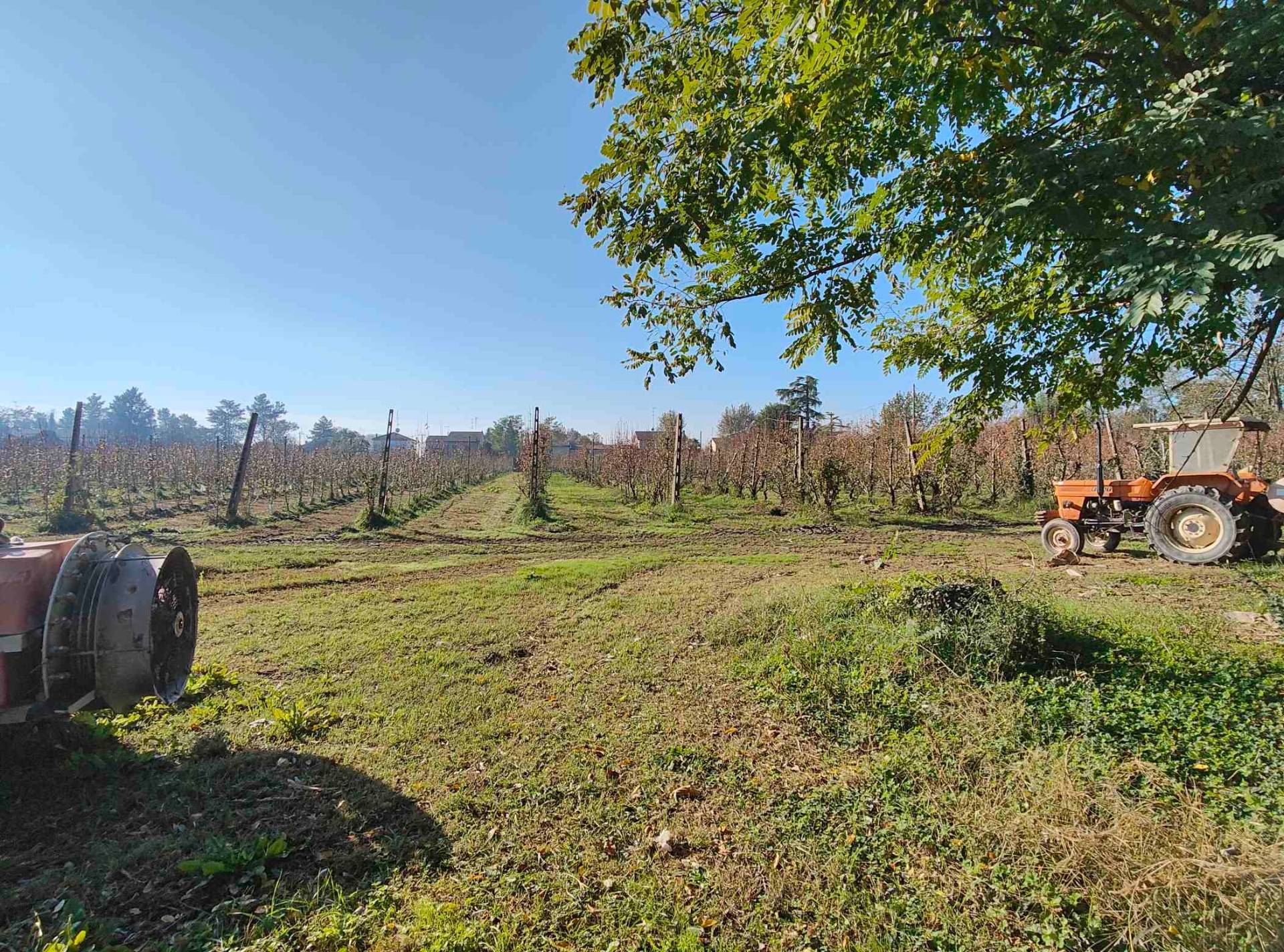 Terreno edificabile in vendita a Bondeno, Ponte Rodoni