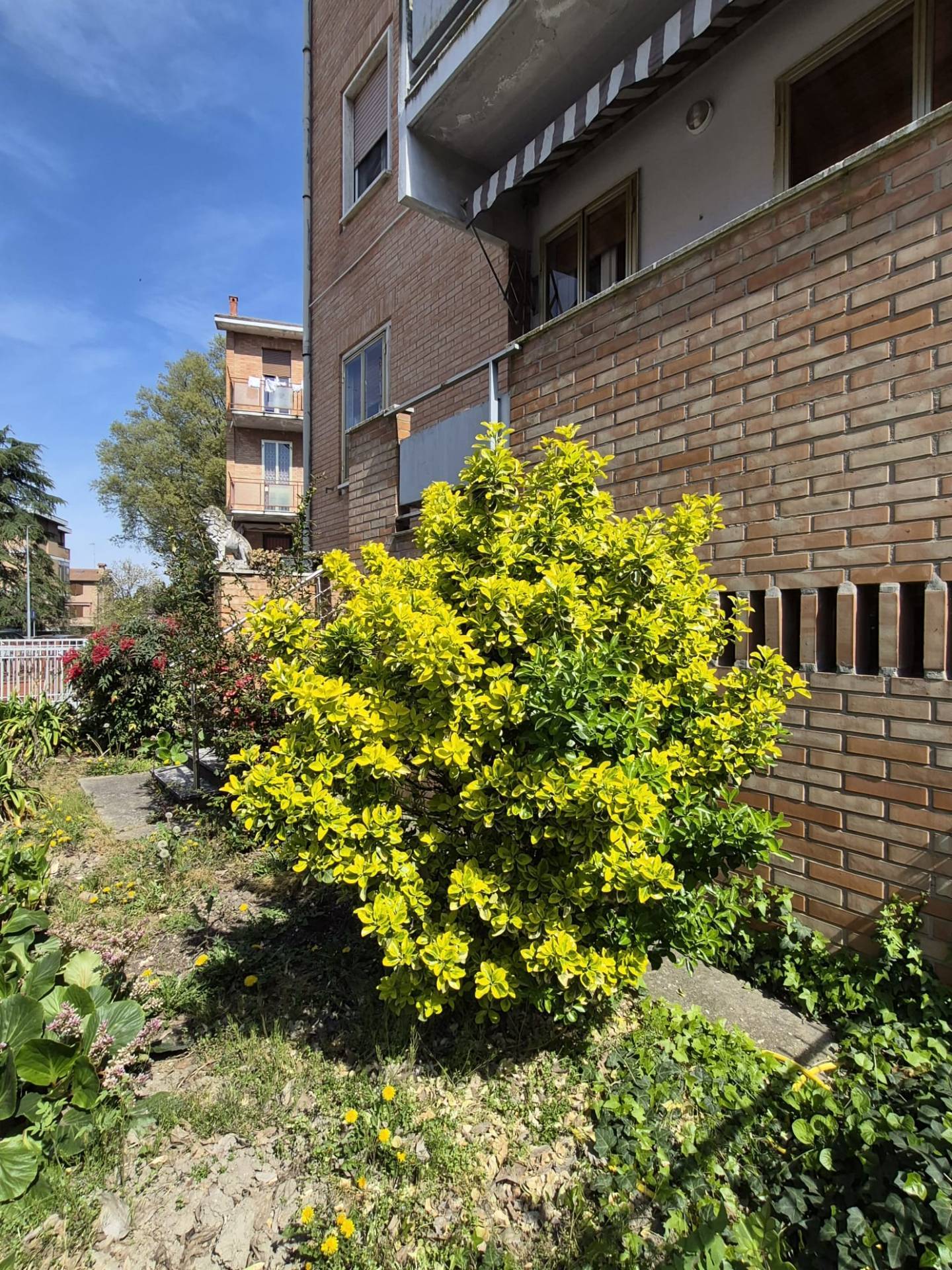 Appartamento in vendita a Ferrara, Quacchio