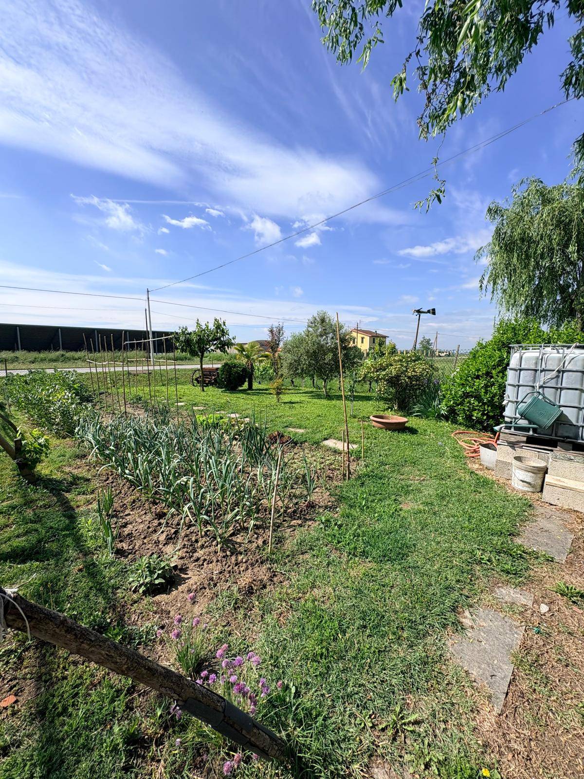 Casa indipendente in vendita a Poggio Renatico