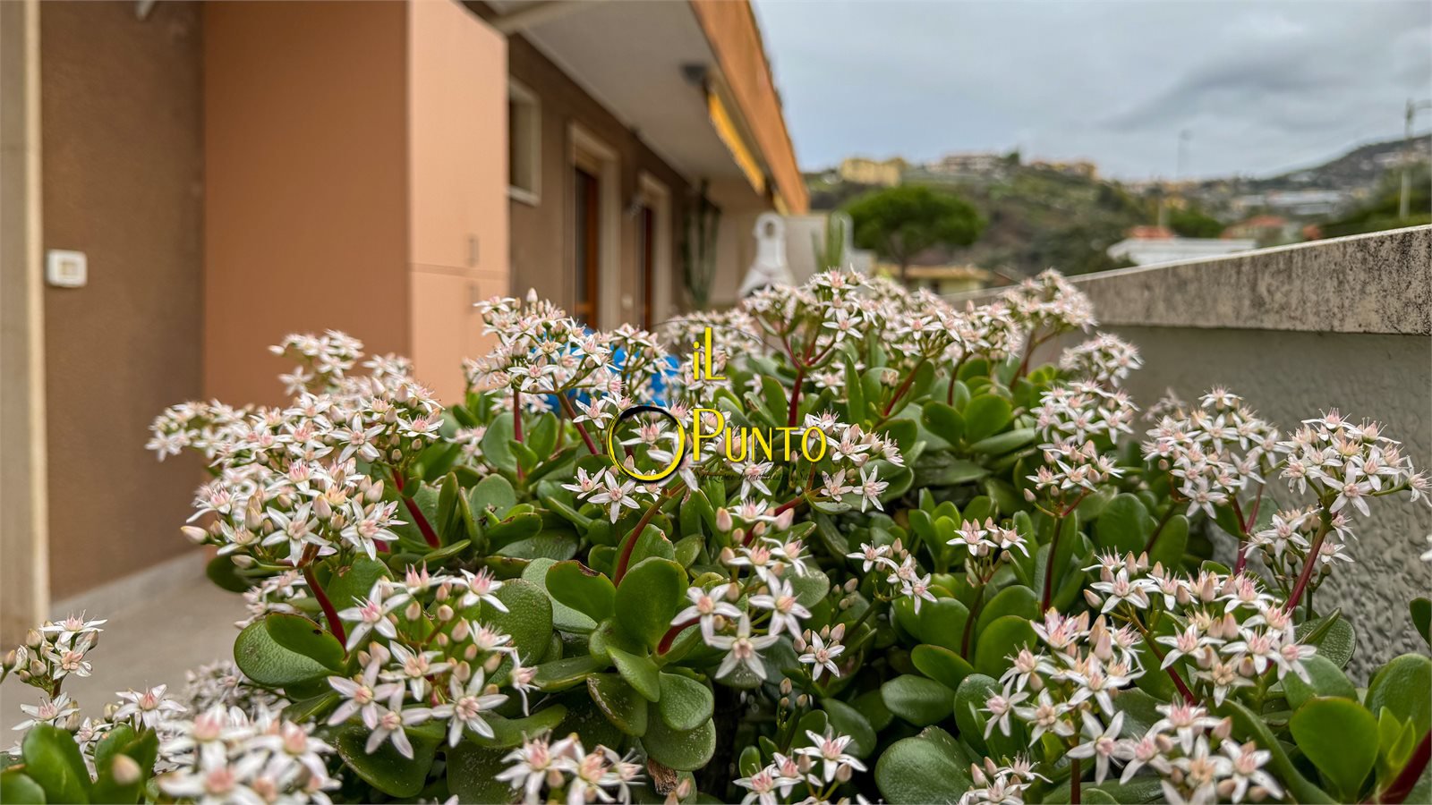 Attico in vendita, San Remo sanremo