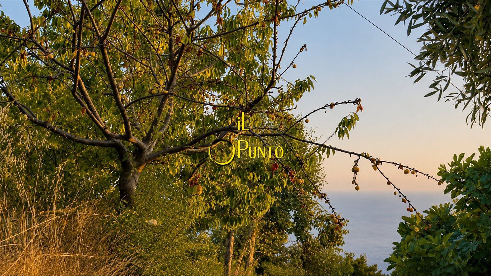 Rustico in vendita, San Remo sanremo