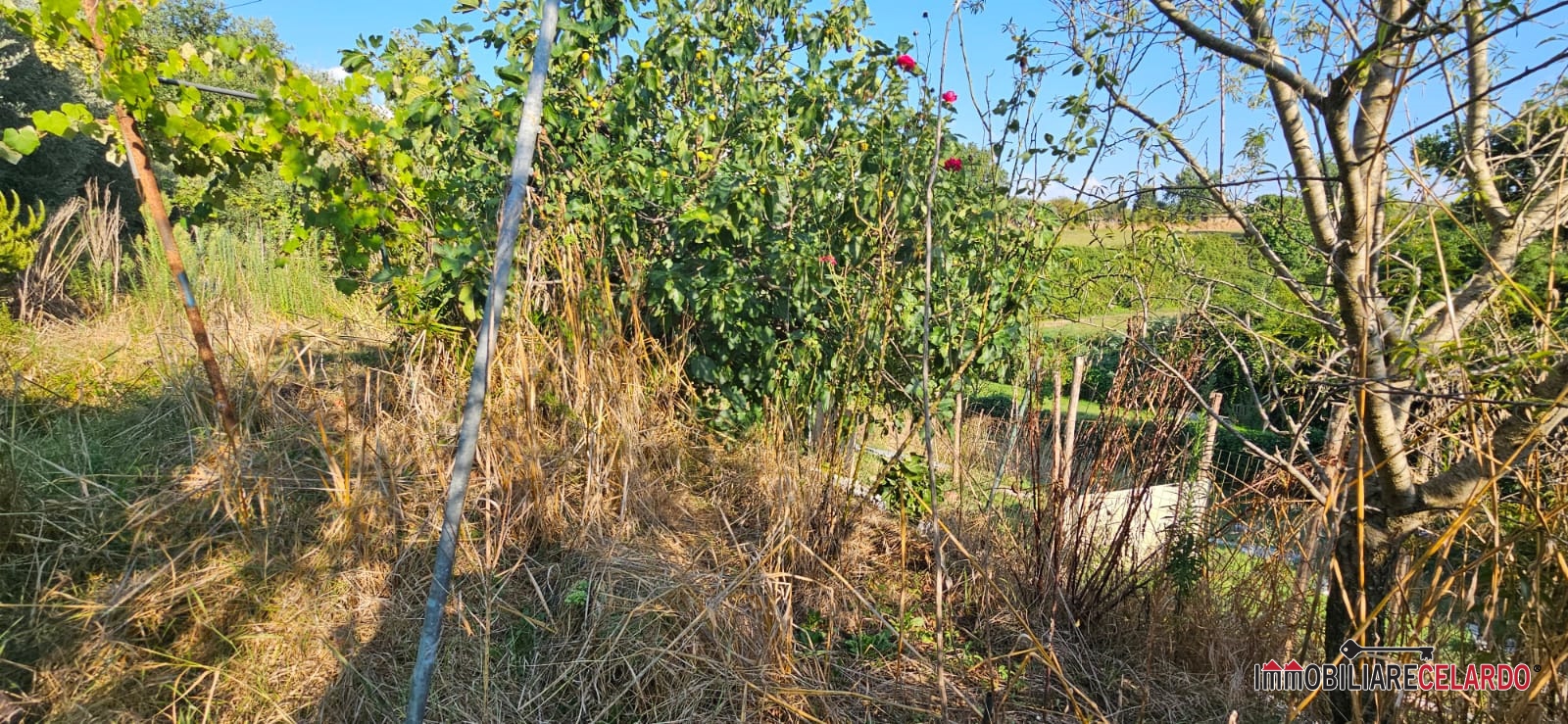 Terreno in vendita, Colle di Val d'Elsa le grazie