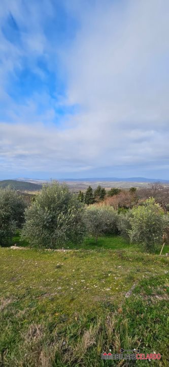 Terreno in vendita a Casole d'Elsa