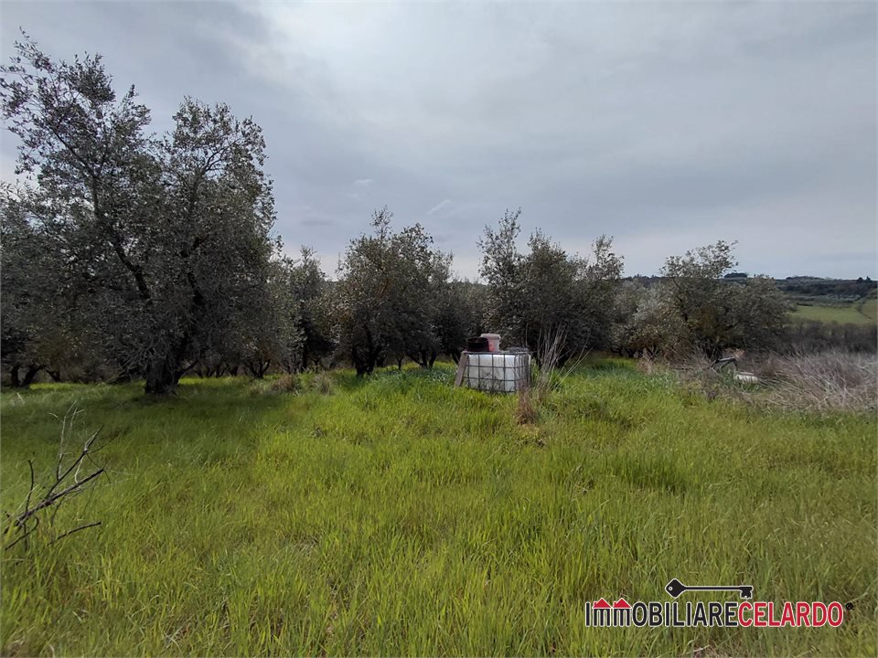 Terreno in vendita a Poggibonsi