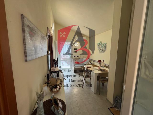 Bilocale arredato in affitto, Pisa marina di