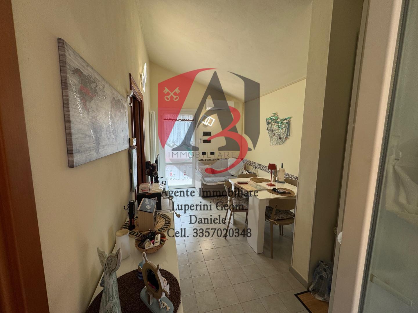 Bilocale arredato in affitto, Pisa marina di