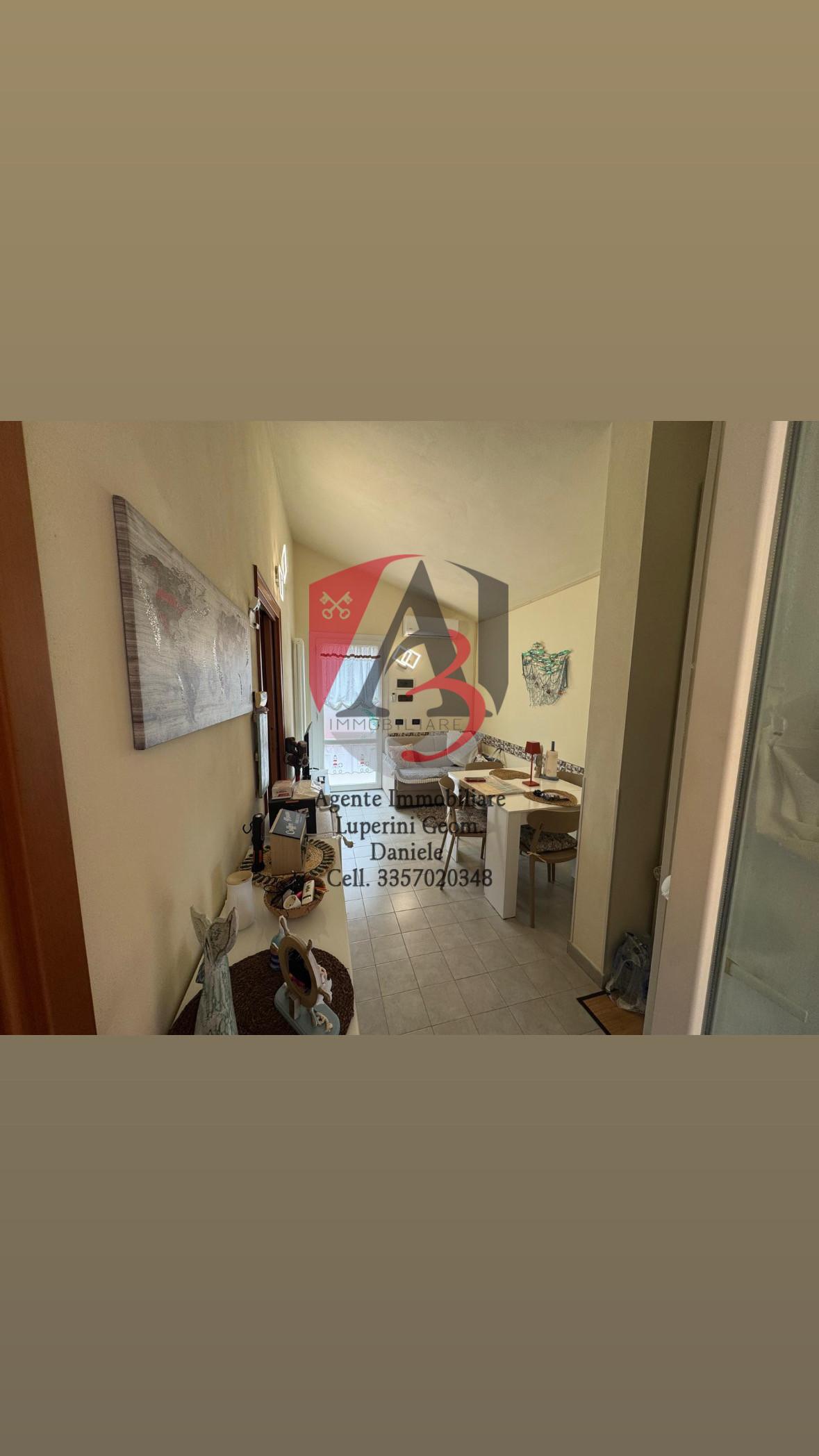 Bilocale arredato in affitto, Pisa marina di