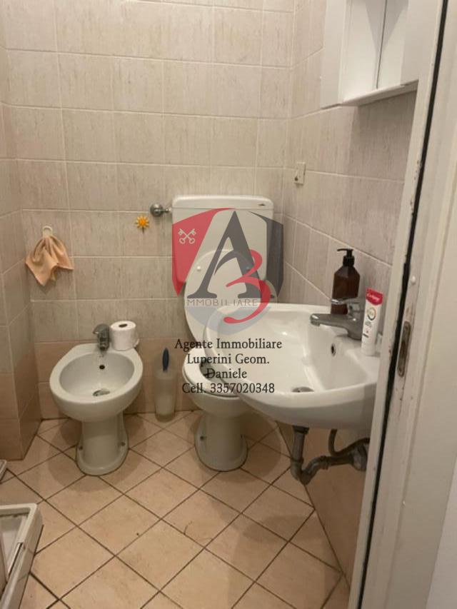 Stanza Singola in affitto, Pisa stazione