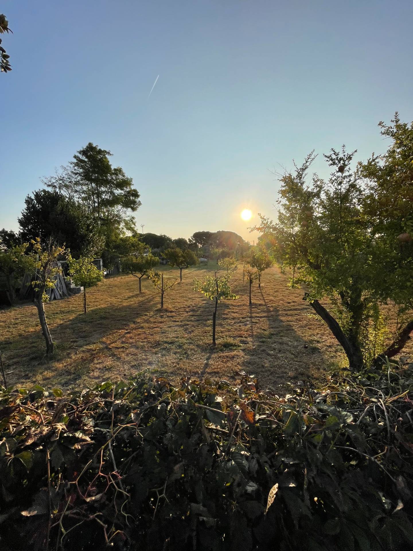 Terreno in vendita, Cavallino-Treporti cavallino