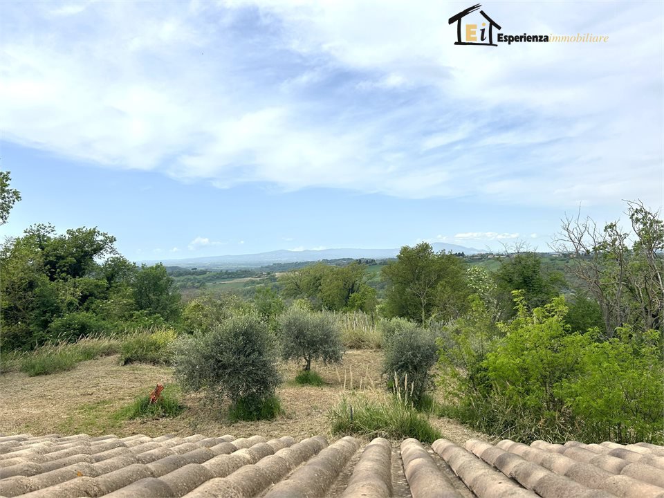 Villa in vendita, Collevecchio cicignano