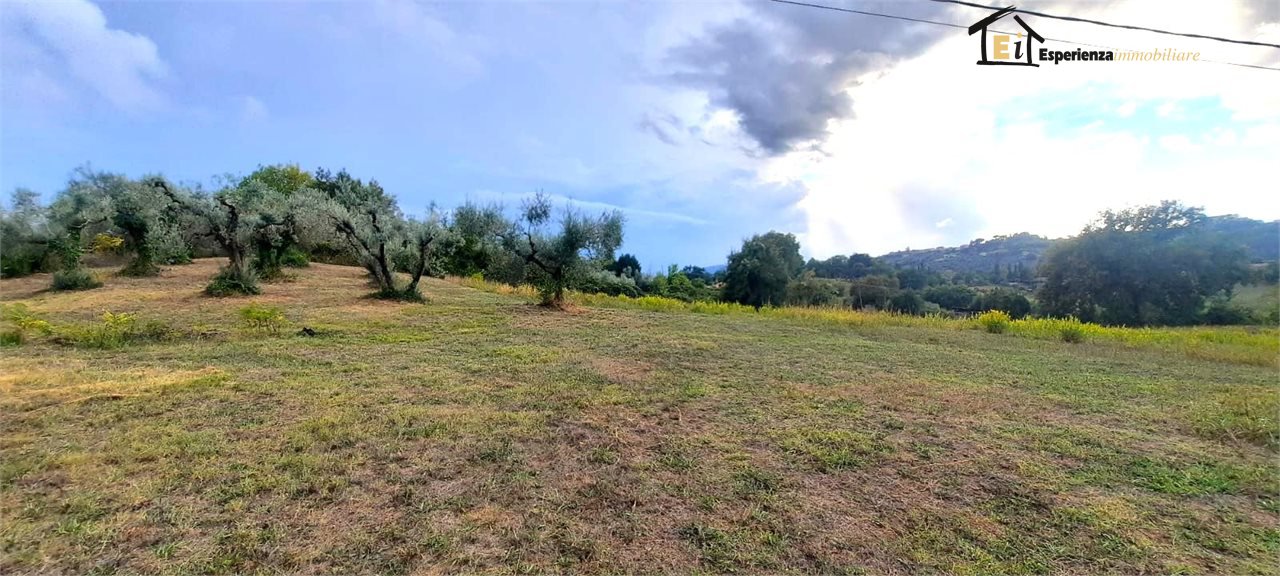 Terreno in vendita a Cantalupo in Sabina