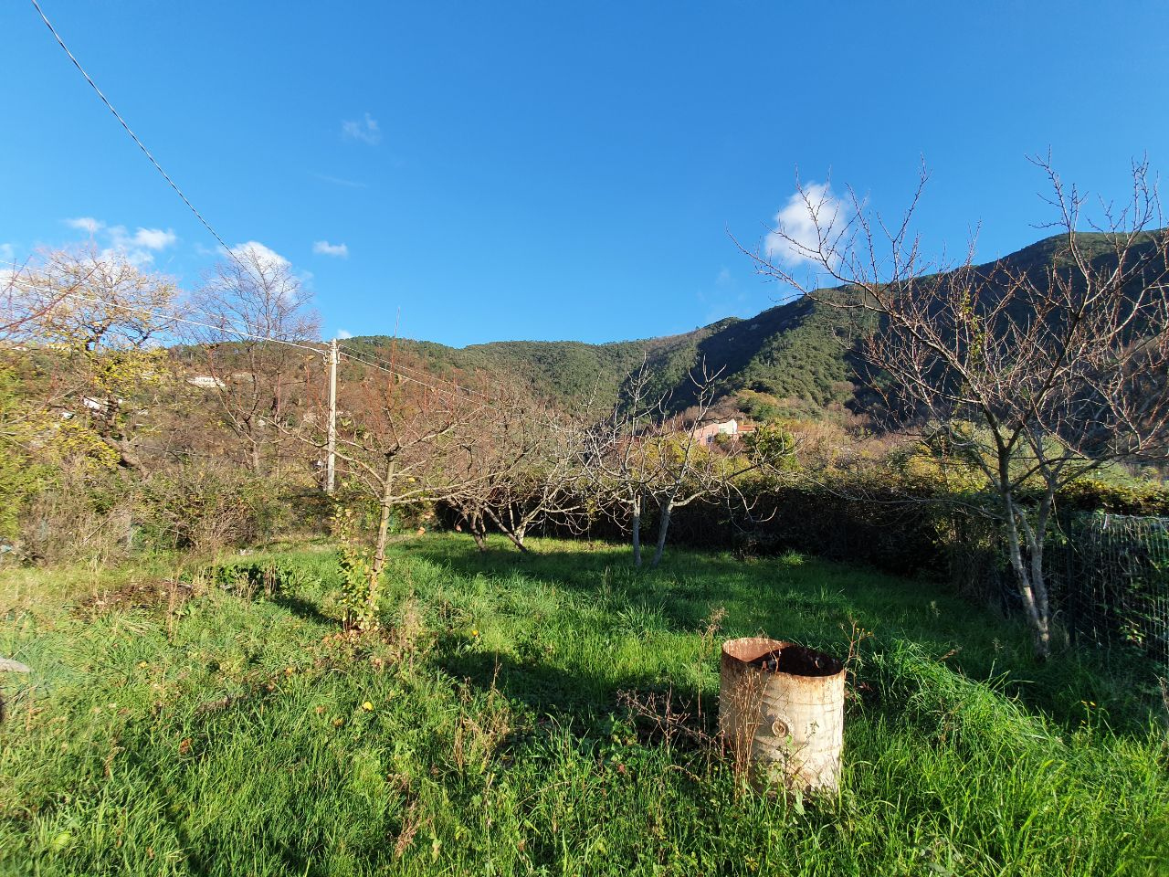immagine annuncio 3 di 6