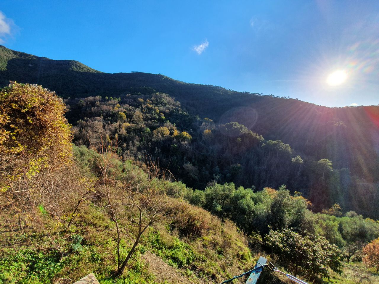 immagine annuncio 5 di 6