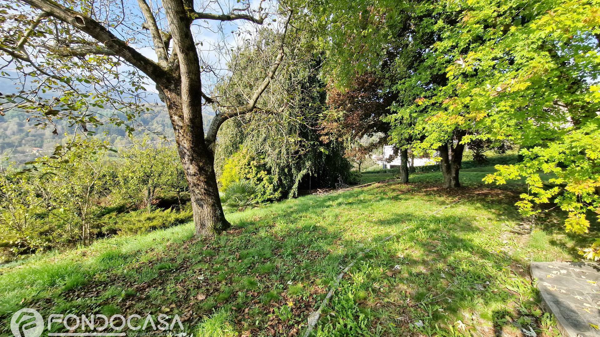 Casa indipendente in vendita a Centro Valle Intelvi