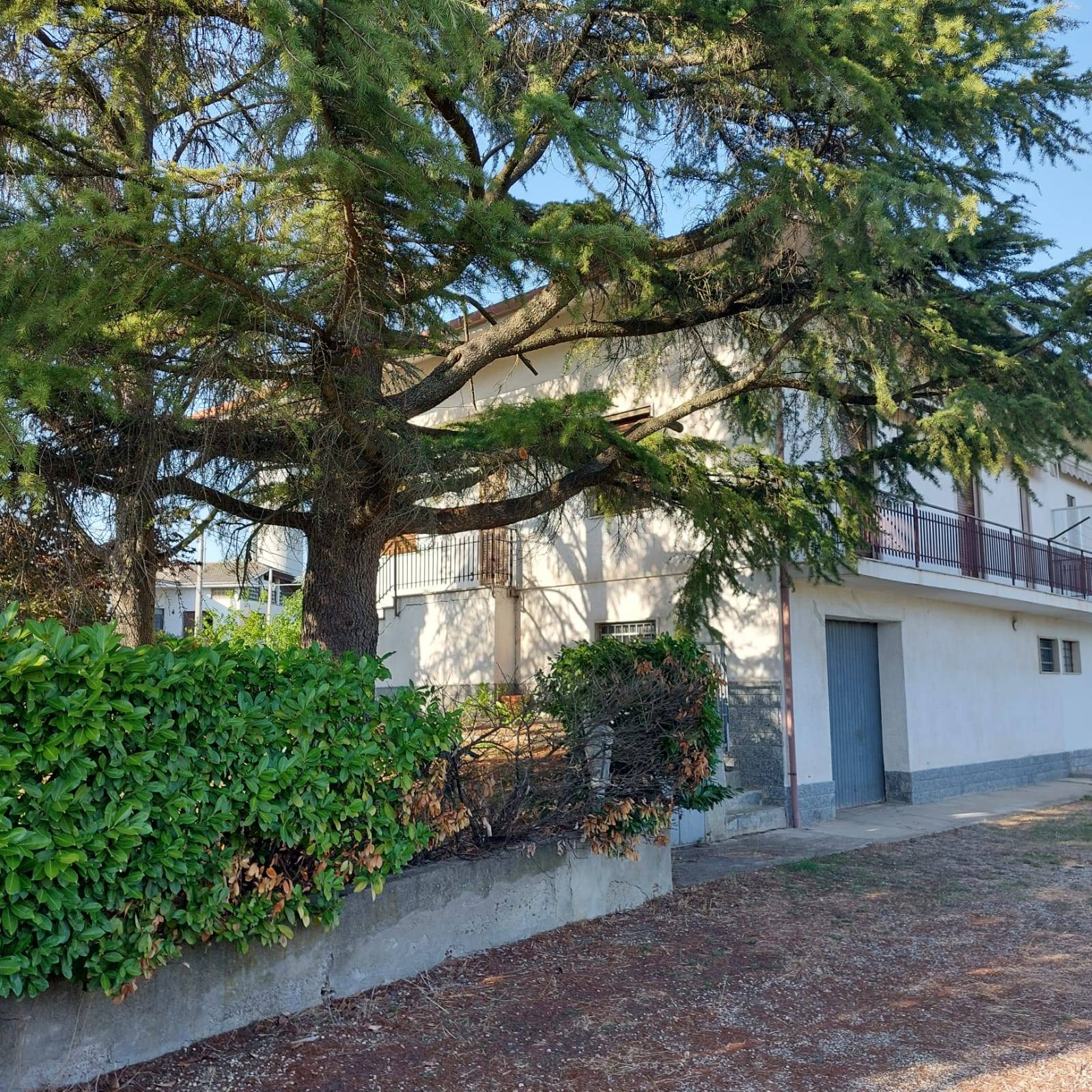 Casa singola in vendita a Carentino