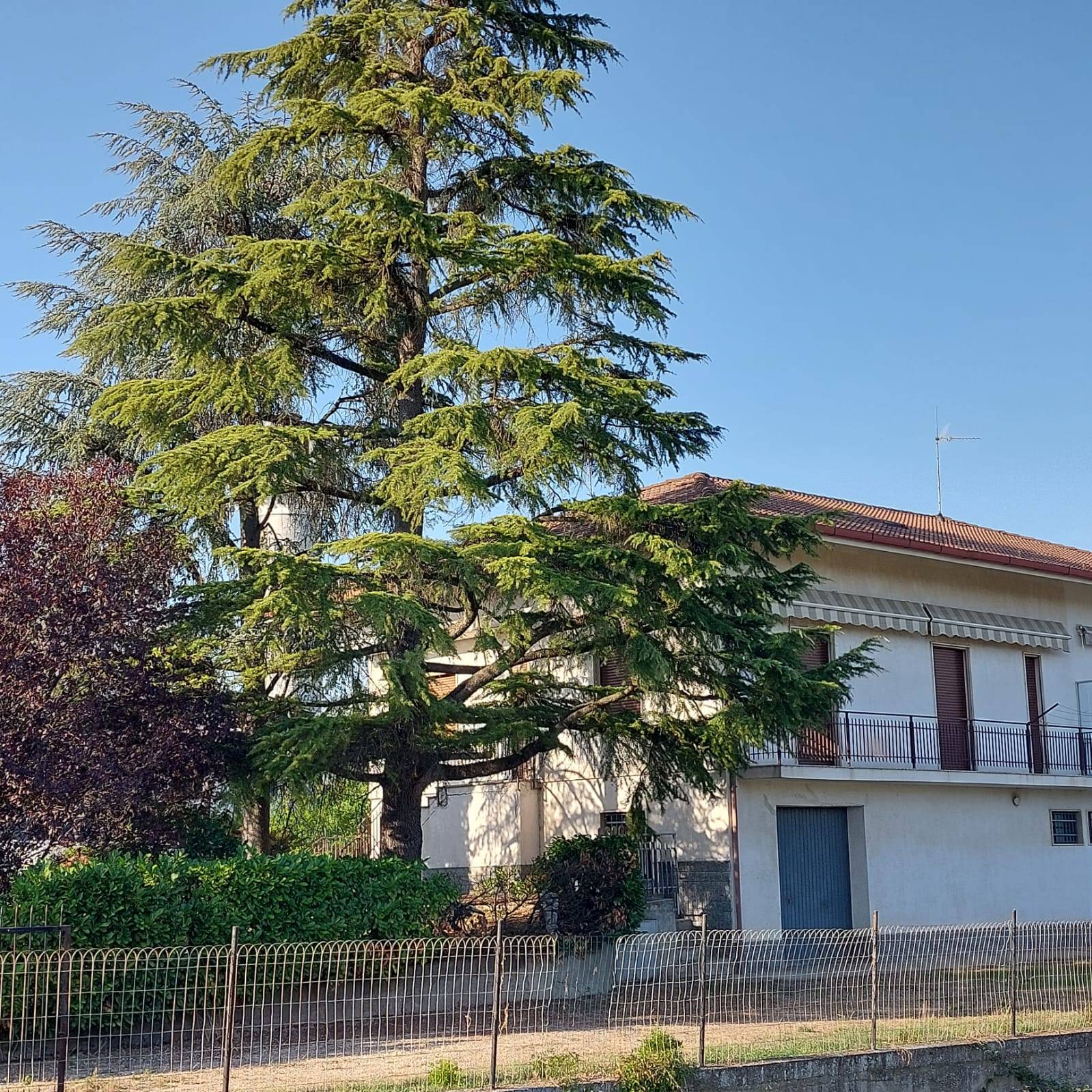 Casa singola in vendita a Carentino