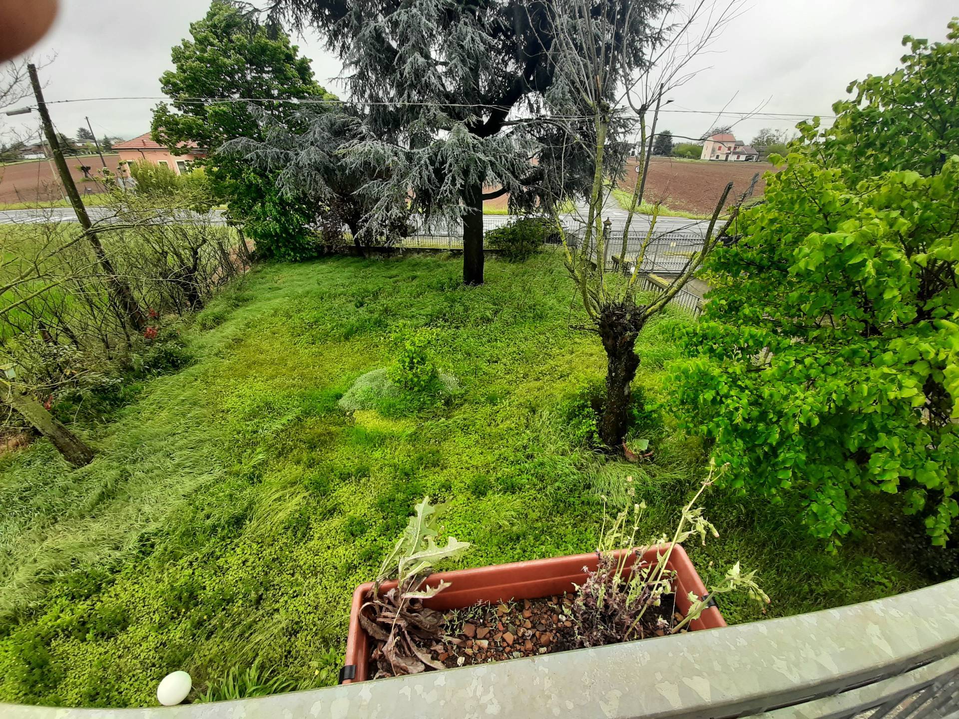 Casa singola in vendita a Alessandria, San Giuliano Vecchio