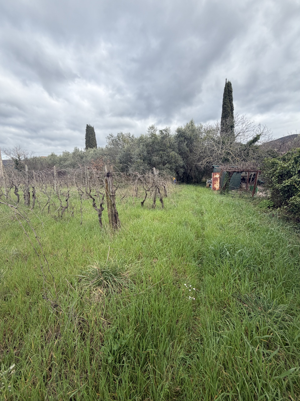 Terreno in vendita a Gavorrano
