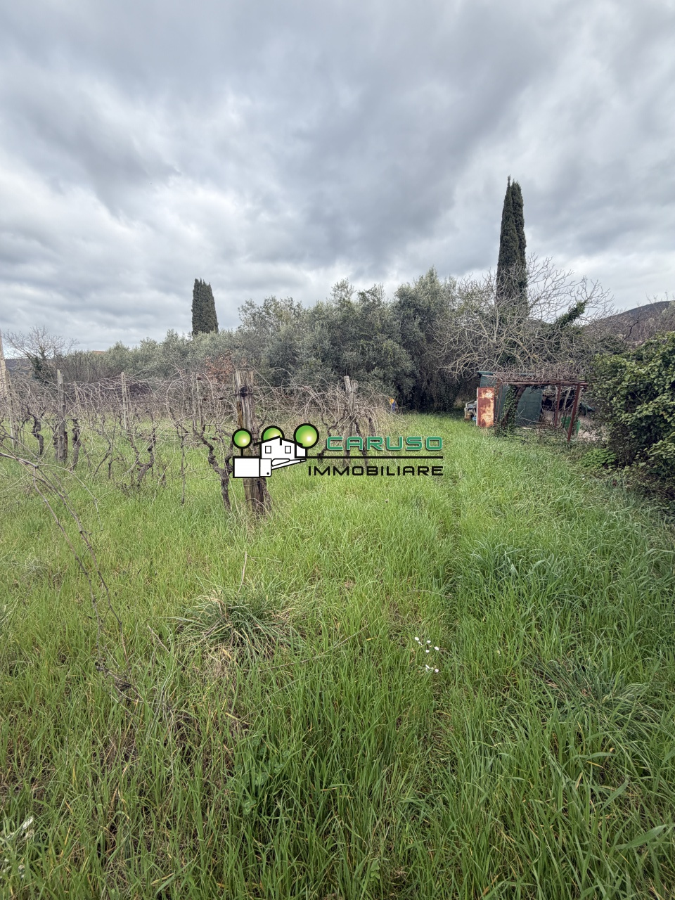 Terreno in vendita a Gavorrano