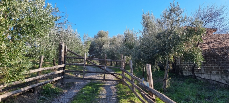 Villa con giardino a Civitavecchia