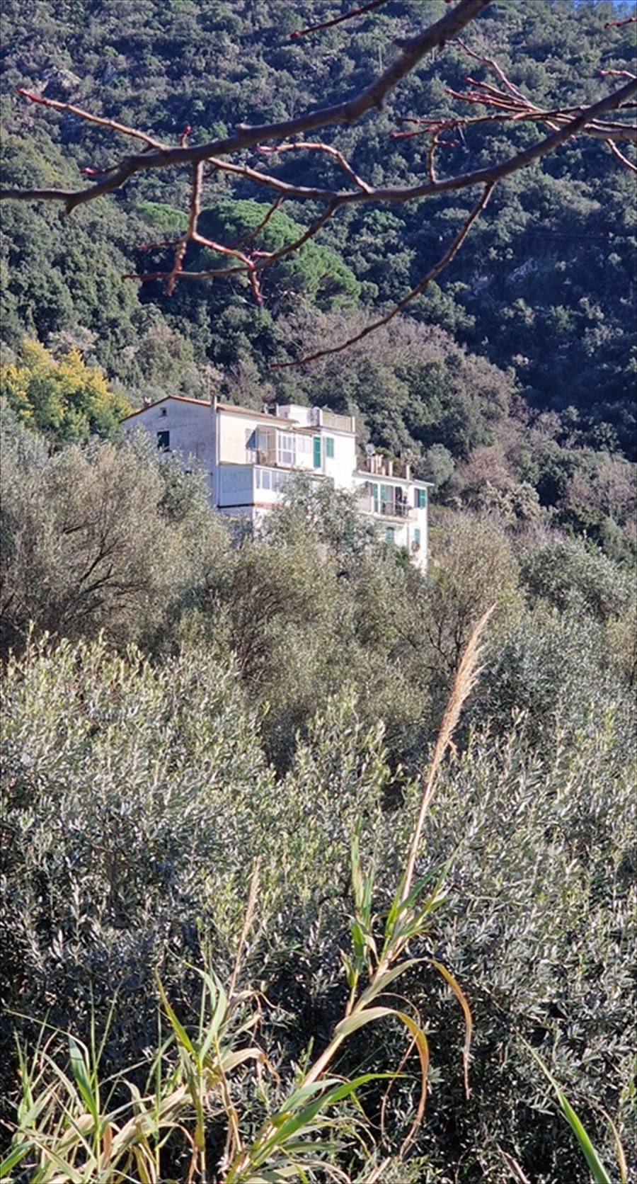 Trilocale con giardino, Framura localit laviosa