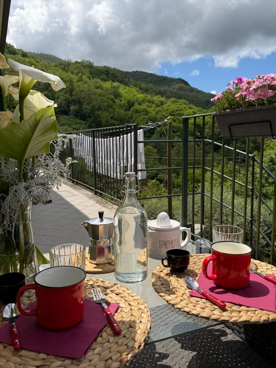 Bilocale con giardino, Mezzanego semovigo