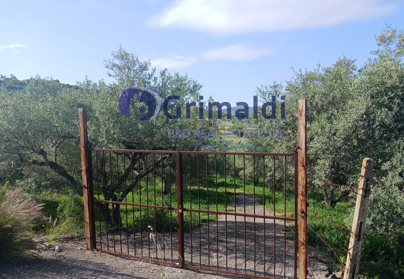 Terreno Agricolo in vendita a Bagheria