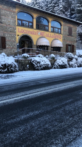 Locale commerciale con giardino a Castel San Niccol�