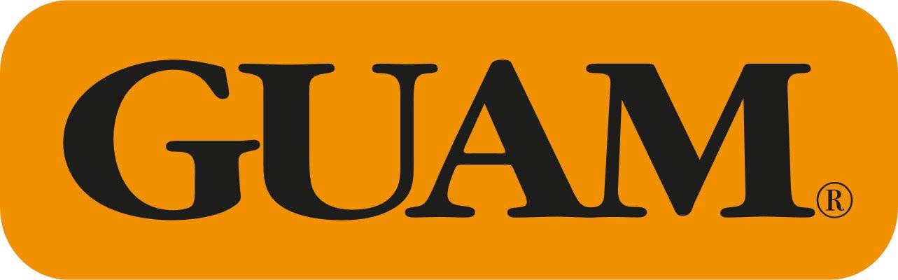 Attivit commerciale in vendita a Lumezzane