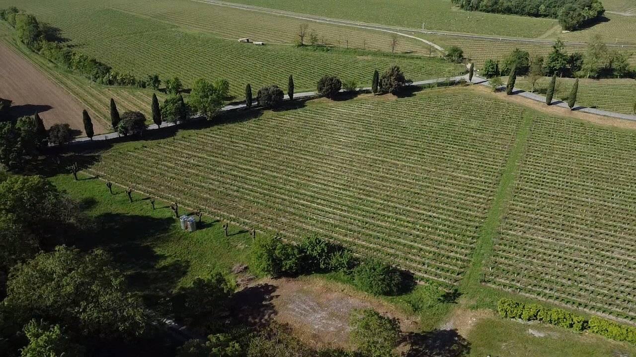 Terreno Agricolo in vendita a Cazzago San Martino, Bornato