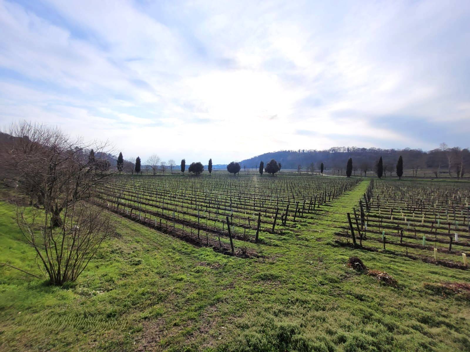 Terreno Agricolo in vendita a Cazzago San Martino, Bornato