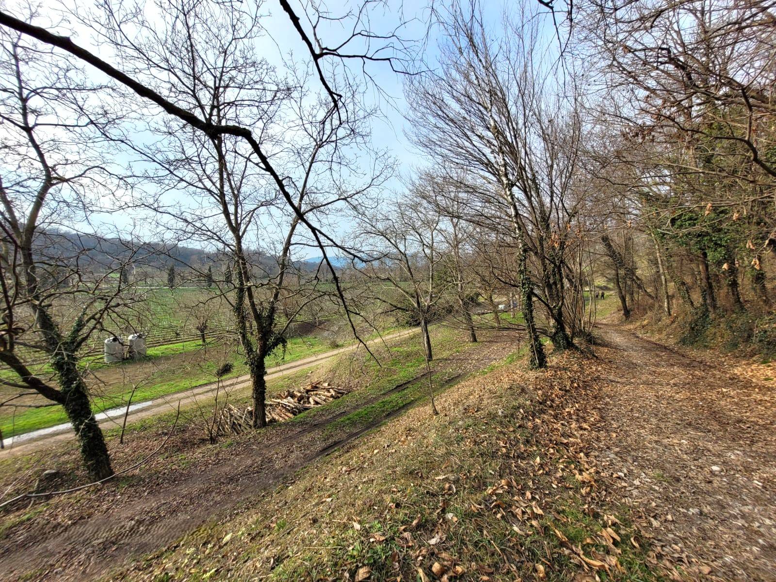 Terreno Agricolo in vendita a Cazzago San Martino, Bornato