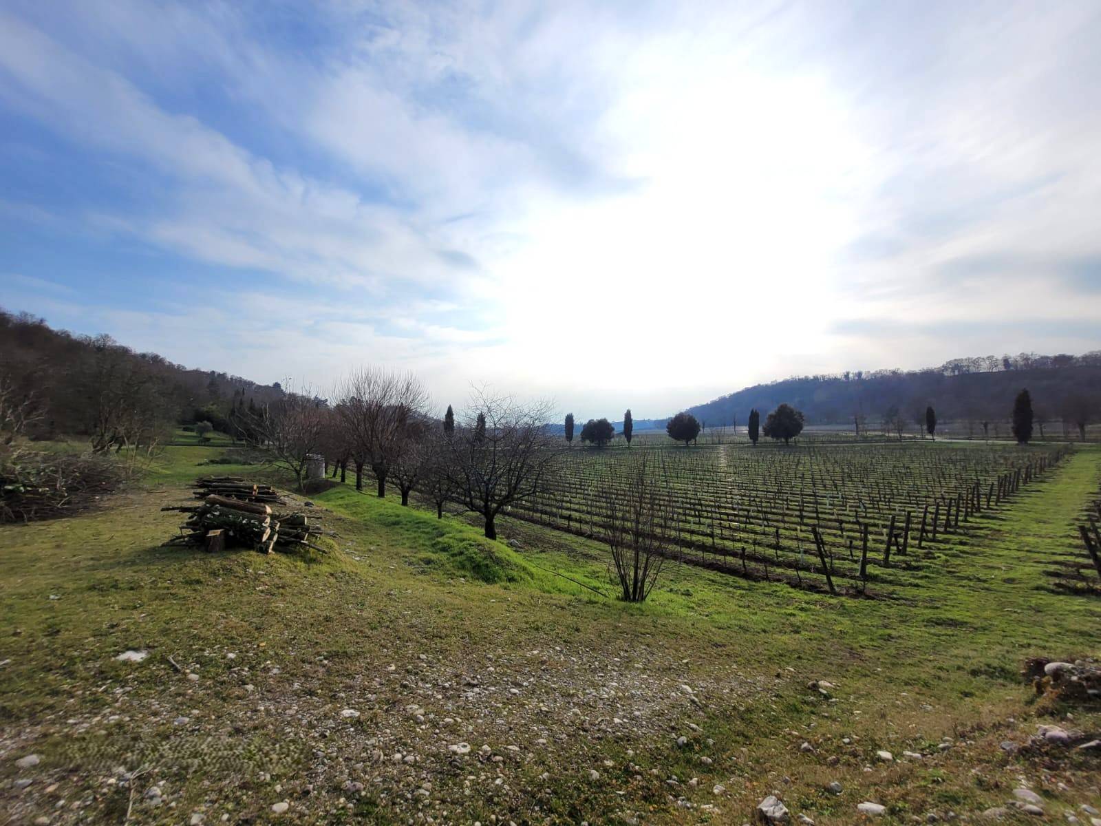 Terreno Agricolo in vendita a Cazzago San Martino, Bornato