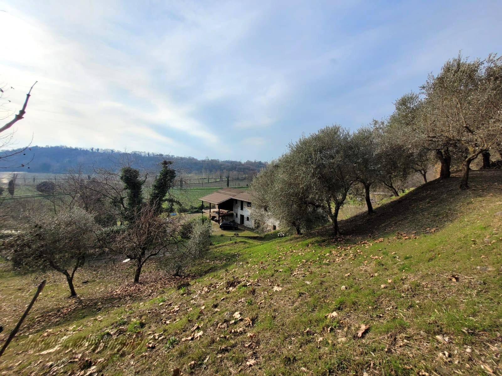 Terreno Agricolo in vendita a Cazzago San Martino, Bornato