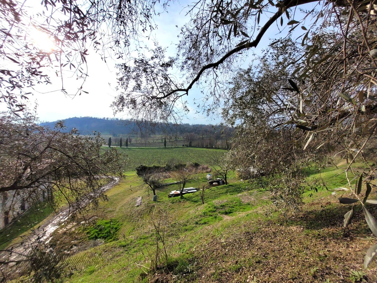 Terreno Agricolo in vendita a Cazzago San Martino, Bornato