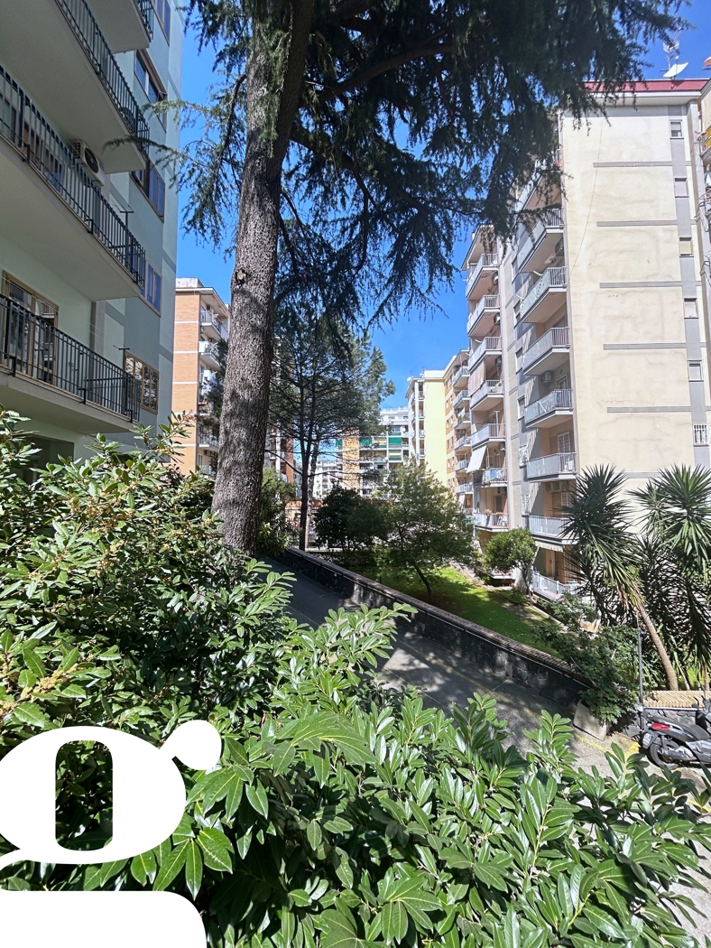 Appartamento in affitto a Napoli