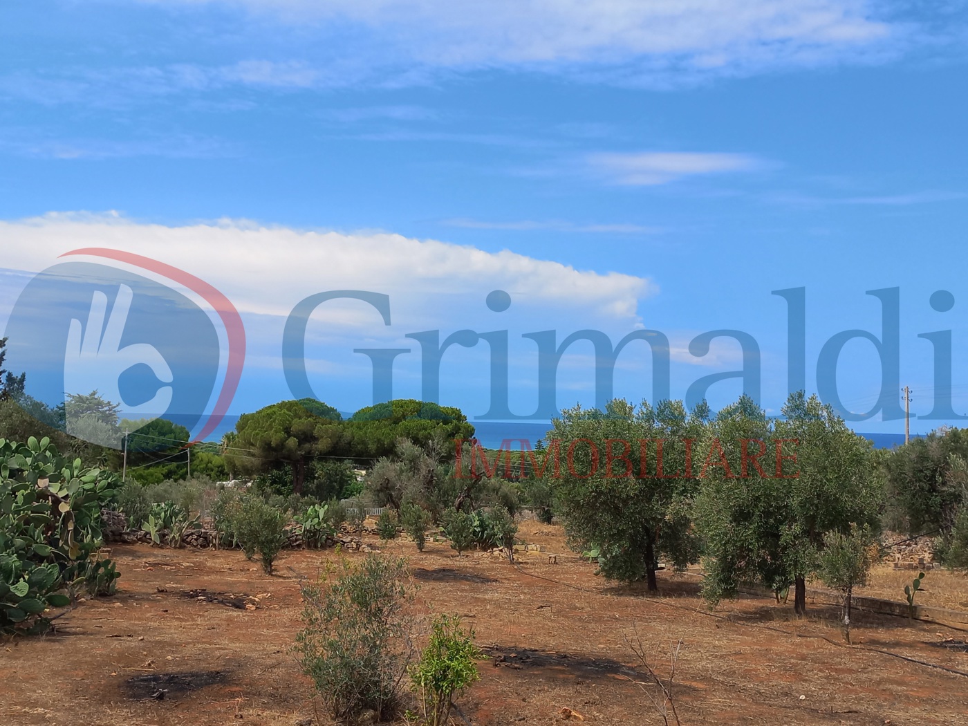 Terreno Agricolo vista mare a Ugento