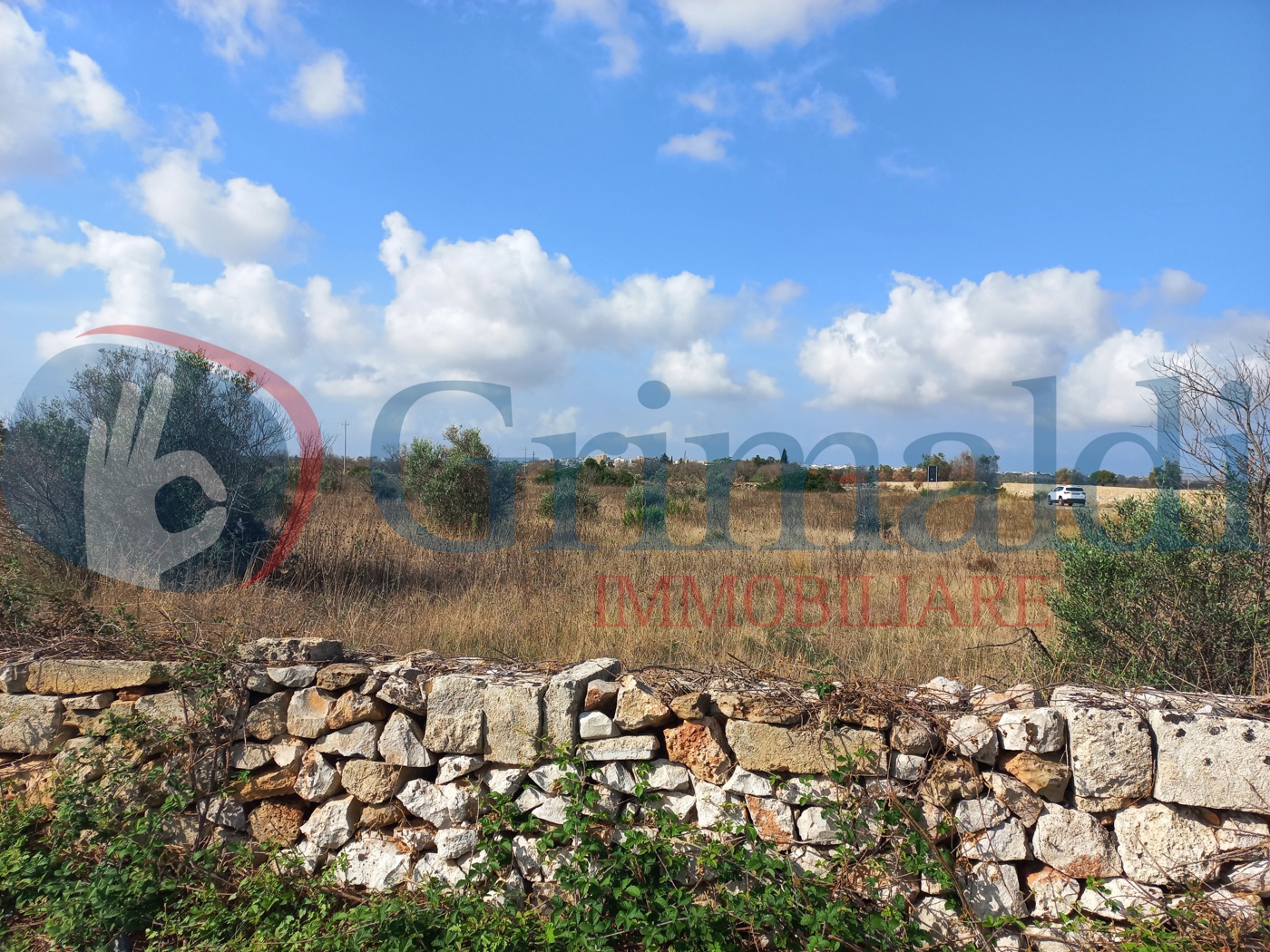 Terreno Agricolo in vendita a Ugento