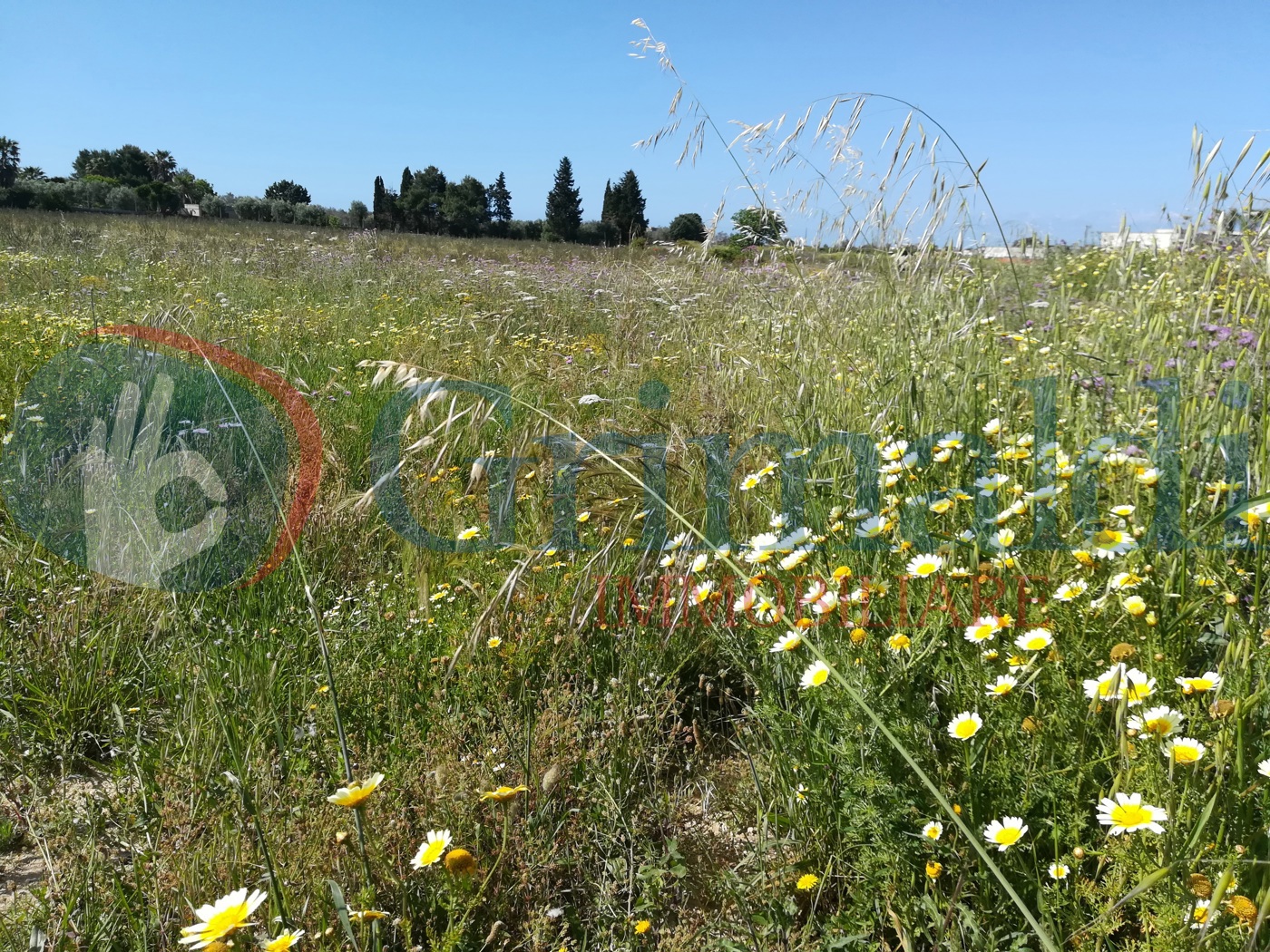 Terreno Agricolo in vendita a Ugento