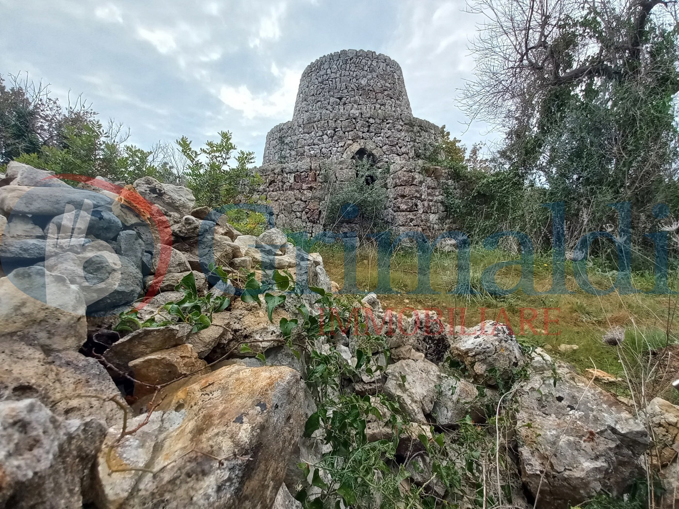 Terreno Agricolo in vendita a Presicce-Acquarica