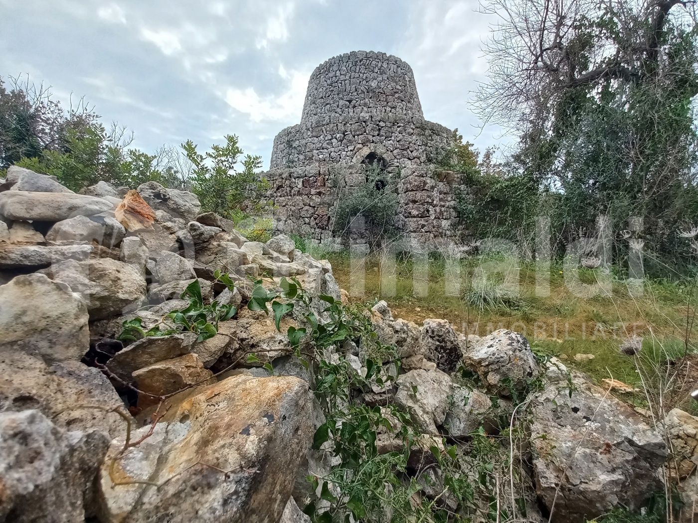 Terreno Agricolo in vendita a Presicce-Acquarica