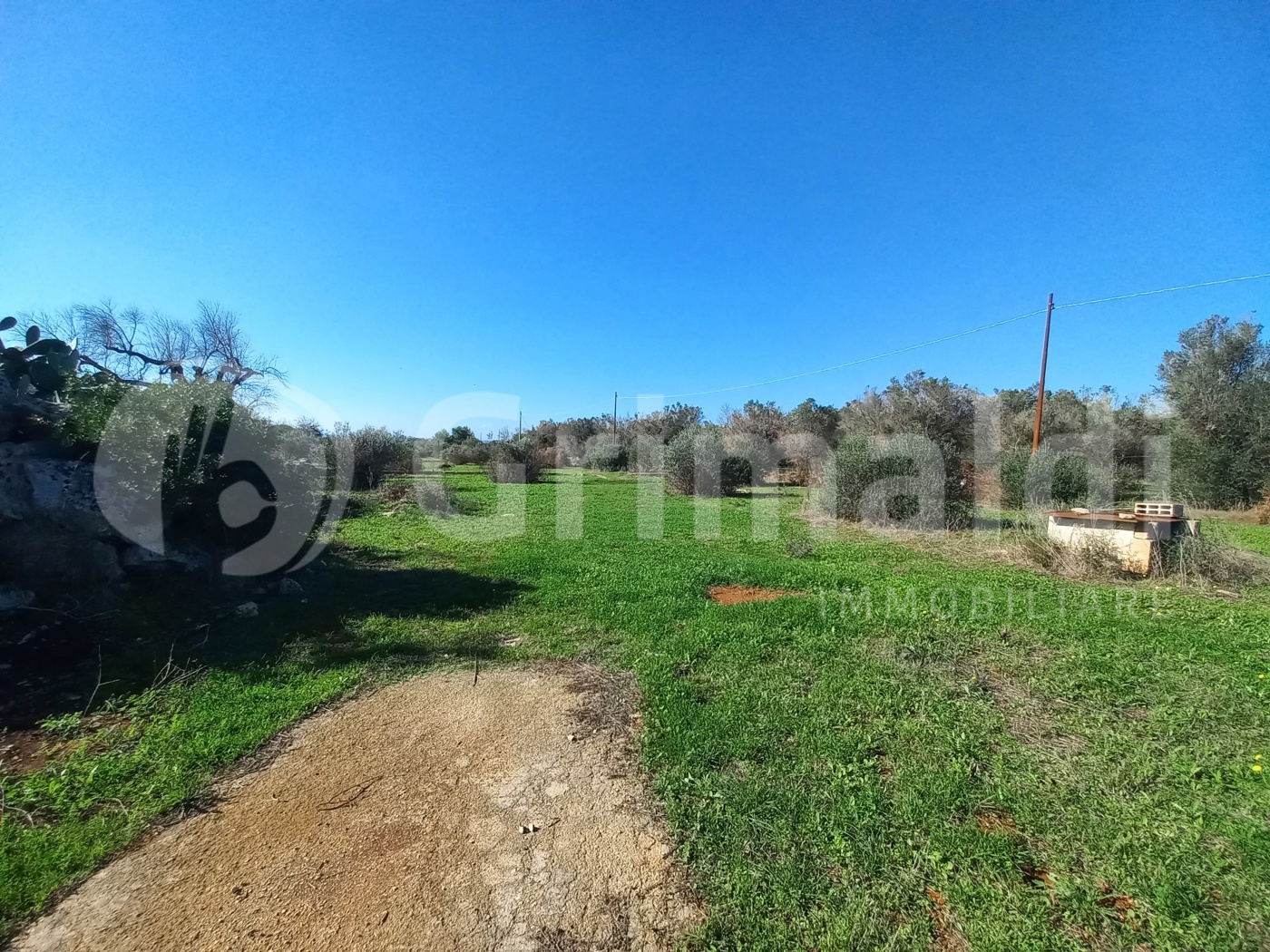 Terreno Agricolo vista mare a Ugento
