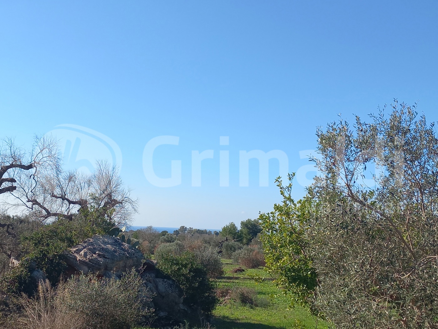 Terreno Agricolo vista mare a Ugento
