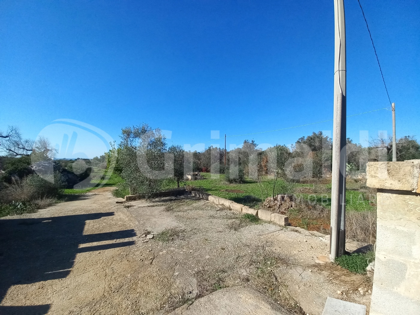 Terreno Agricolo vista mare a Ugento