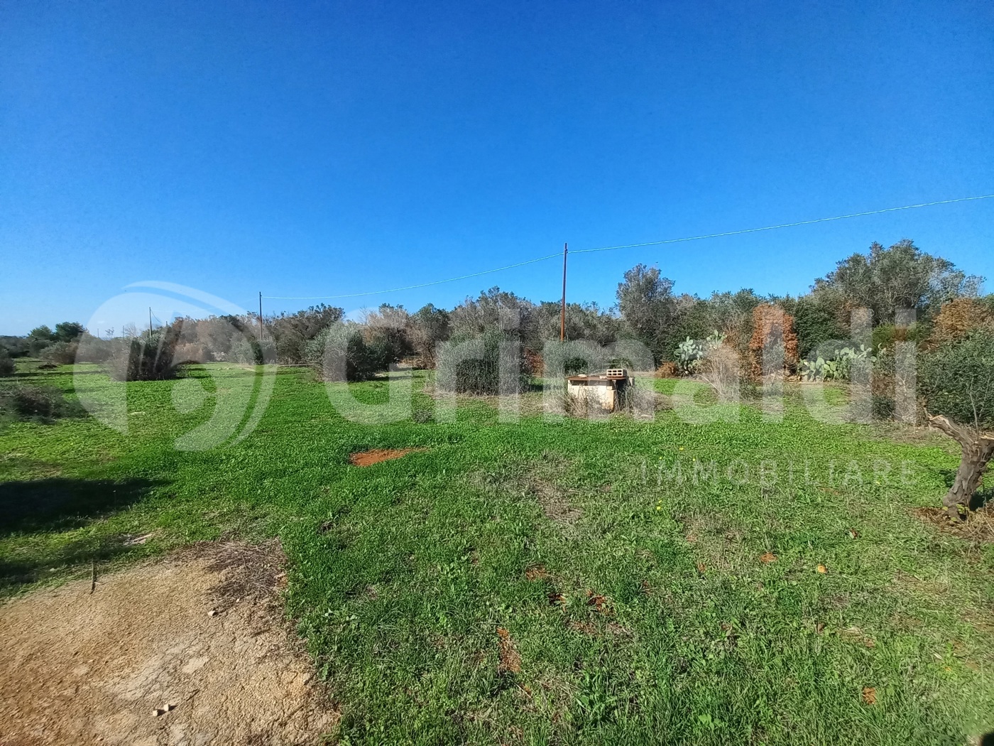 Terreno Agricolo vista mare a Ugento