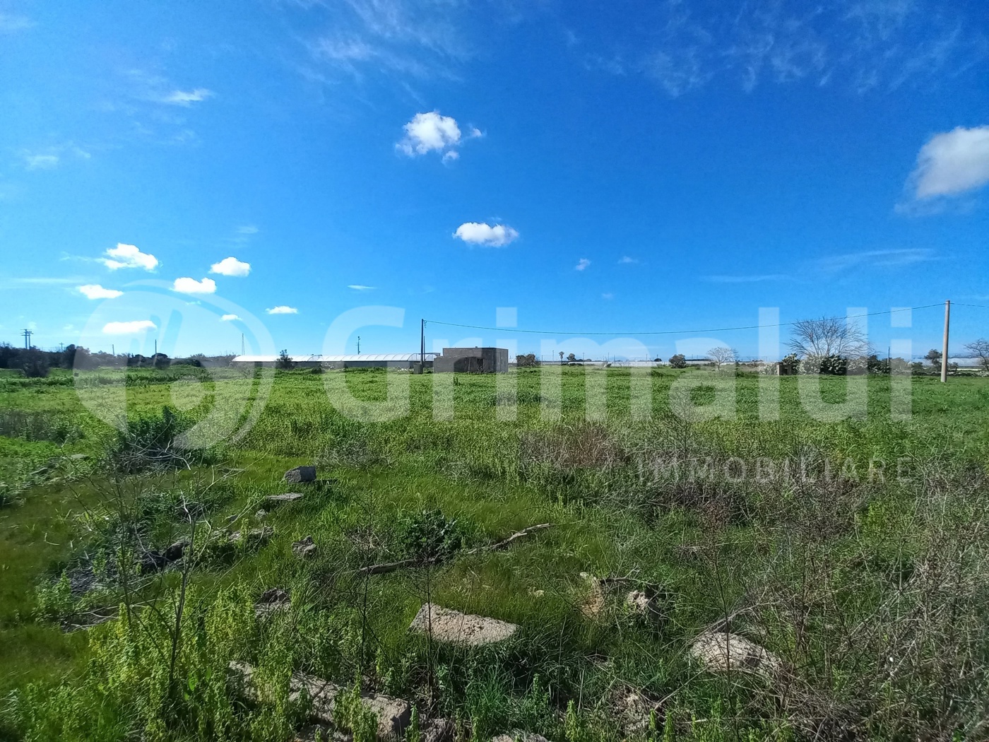Casa indipendente con giardino a Taviano