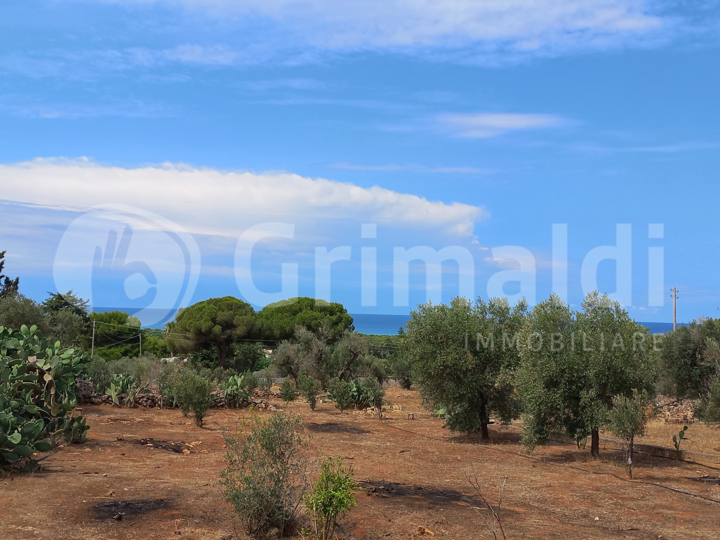 Terreno Agricolo vista mare a Ugento
