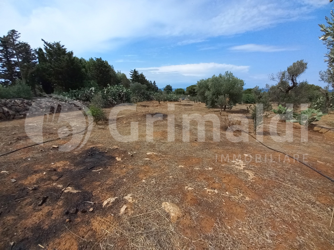 Terreno Agricolo vista mare a Ugento