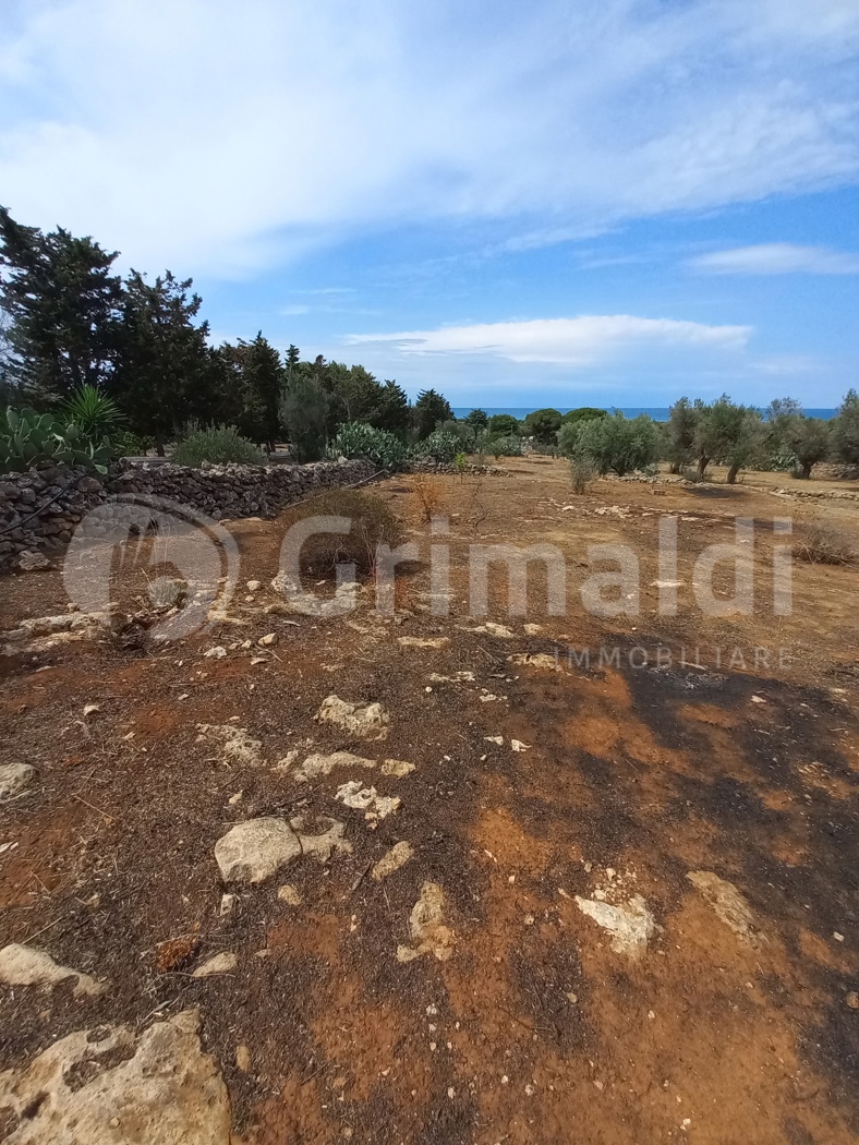 Terreno Agricolo vista mare a Ugento