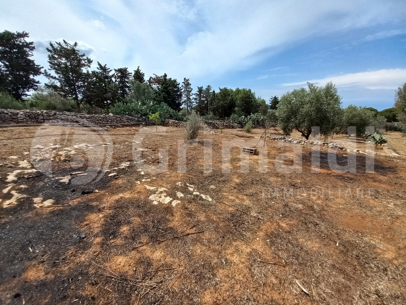 Terreno Agricolo vista mare a Ugento